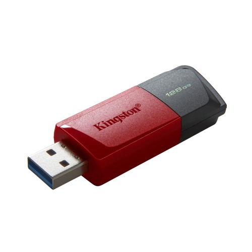 Kingston Technology DataTraveler Exodia M unidad flash USB 128